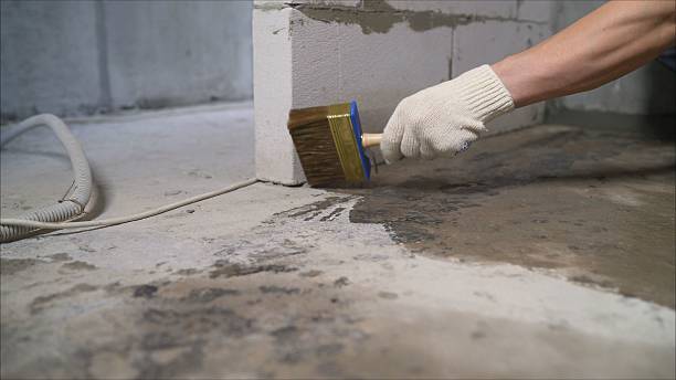 24/7 Emergency Wet Basement Repair experts in Middleville, MI